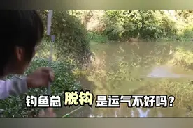 钓鱼经常脱钩怎么办？不是你的运气不行！学会这些告别脱钩视频封面
