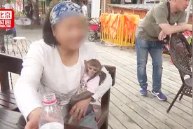 大妈15000元买只猕猴当宠物 公园游玩时引围观视频封面