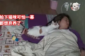 猫咪趁主人熟睡疯狂撕咬，差点毁容，这猫还能养吗？视频封面