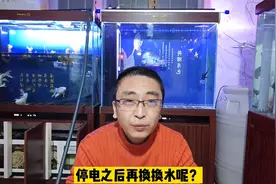 养鱼遭遇停电现象，停电之前，来电后，用不用换水？视频封面