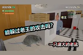 模拟老鼠：我是一只老鼠，发现了老王的秘密，能躲过他的攻击么？视频封面