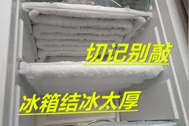 冰箱结霜太厚，切记别敲，教你一招，5分钟冰块哗哗掉，简单有效视频封面