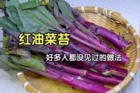 红油菜的这个四川特色做法，很多人都没见到过，真是高手在民间视频封面