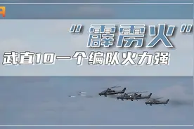 “霹雳火”！武直10一个编队火力强，可摧毁3个坦克连视频封面