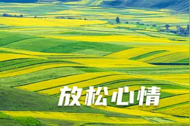 放松静心助眠，这是黄昏的太阳，我们却把它当成了黎明的曙光视频封面