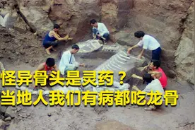 龙骨入药能治百病？河南农民刨出龙骨，直接给吃了？