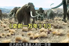 1/3《史前一万年》重达15吨的猛犸象，居然被人类制服！视频封面