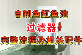 自制鱼缸，鱼池过滤器，完整的流程及相关配件献给各位视频封面