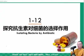 实验12 探究抗生素对于细菌的选择作用