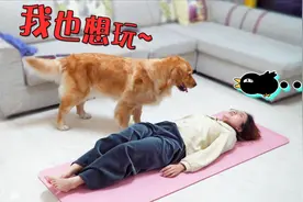 女主人做瑜伽，狗狗在一旁疯狂捣乱，场面要失控了！视频封面