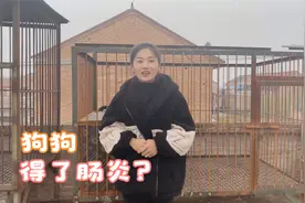 狗狗不小心得了肠炎？不仅拉稀而且便便带血？佳佳教你该怎么处理视频封面