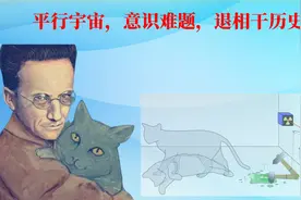 薛定谔的猫，这只量子恶魔  为何至今无解？意识导致波函数坍缩？视频封面