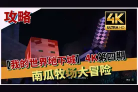 【我的世界地下城攻略】4K画质全收集第四期-南瓜牧场、隐藏地图