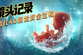 镜头记录，胎儿40周发育全过程！视频封面