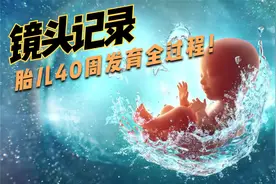 镜头记录，胎儿40周发育全过程！视频封面