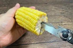 玉米上有个小开关，剪刀一扎一转，玉米自动散开，1分钟剥一大盘视频封面