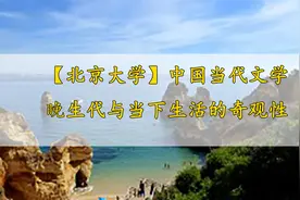 中国当代文学晚生代与当下生活的奇观性【转载】视频封面