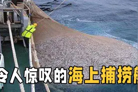 中国南极海上捕捞船，一年捕鱼虾量2.6万吨，能赚两个亿！视频封面