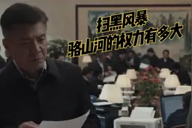 骆山河的权力有多大？别看只是组长，人家可是正部级视频封面