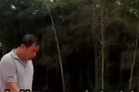 中山中交二航局野蛮施工不顾生态环境视频封面