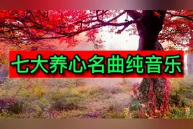 七大养心名曲纯音乐，早上醒来，躺在床上听，真的很享受