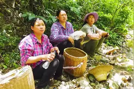 这货湖南人叫木姜子，四川人叫山胡椒，广西人叫的名字真的好土