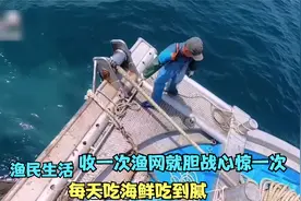 渔民海上生活，收一次渔网就胆战心惊一次，一日三餐海鲜吃到腻！视频封面