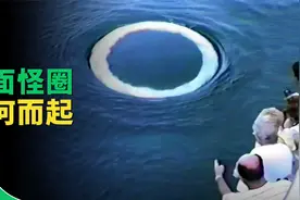 神秘现象：直径4米的白色怪圈突然浮现，海底下藏着什么东西？视频封面