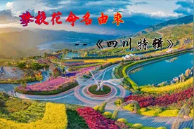 四川特辑：攀枝花命名的由来视频封面