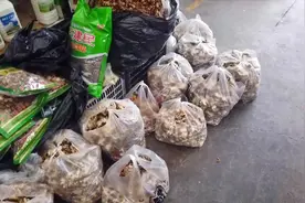 甘肃肃南，这座只有3万人的小县城。来看看这里的土特产还有物价视频封面