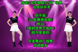流行车载DJ：《伤不起》《心在跳情在烧》《听心》《因为爱着你》