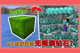 我的世界：新版本无限刷钻石？只需简单两步，搞秃mojang程序员！