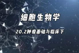 20细胞生物学-肿瘤基础与临床下【转载】视频封面