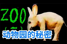 迷你世界：动物园的秘密 遵守规则 看到老鼠不能抓 海洋馆也别进