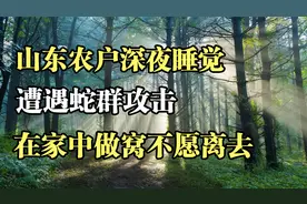 山东农户深夜睡觉，遭遇蛇群攻击，在家中做窝不愿离去视频封面