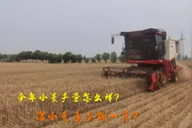 河南新野小麦开始收割，一亩地产量多少？湿小麦这收购价格合理吗视频封面