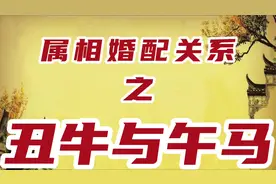 属马人与属牛人的婚配关系解读@头条创作精选视频封面