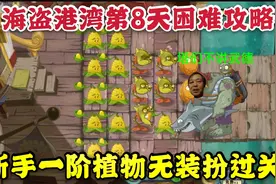 植物大战僵尸2:平民一阶原始植物通关海盗港湾第8天困难模式教程视频封面
