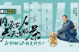 "一块砖茶=一头羊"！手把手教你做金贵的草原奶茶视频封面
