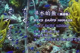 寻水的鱼 满语版 满家寨ilha格格张雪童视频封面
