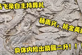 箭簇二升杨再兴，岳飞亲自安葬的抗金将领，长眠在漯河的小商桥！视频封面
