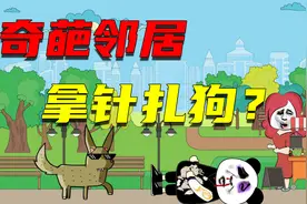 奇葩邻居用针扎狗，看我如何给他送进医院？视频封面