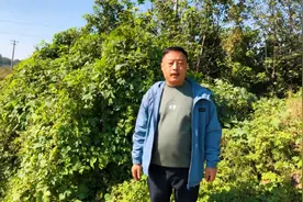 被誉为血见愁的农村杂草拉拉秧，煮水泡脚更是好，大家来了解下视频封面
