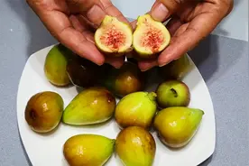 清水洗无花果，等于吃虫卵，教你正确洗法，脏东西和虫卵自动溜走