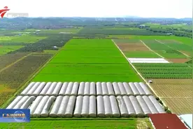 肇庆：建设成珠三角核心区西部增长极视频封面