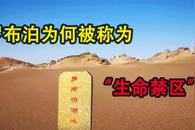 罗布泊为何被划为禁区，科研队为何还要前仆后继的前往视频封面