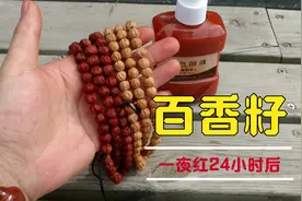 百香籽怎么盘玩，多长时间可以上色变红？