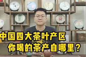 中国四大茶叶产区，每年生产上亿吨，快来看看你喝的茶产自那里？视频封面