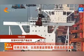 石家庄海关：以高质量监管服务 促进高质量发展视频封面