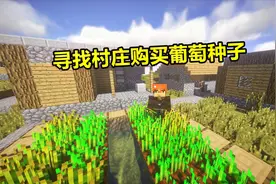 我的世界：暗墨的生存 10 寻找村庄购买葡萄种子